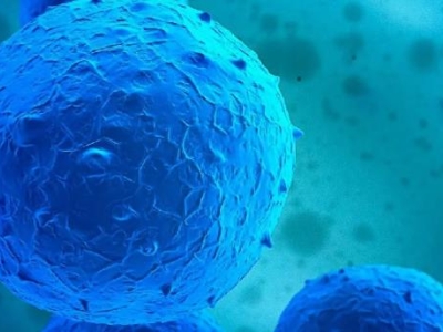 達(dá)博細(xì)胞治療新藥——自體自然殺傷細(xì)胞注射液（E10H） 獲得國(guó)家藥監(jiān)局頒發(fā)的臨床試驗(yàn)批件