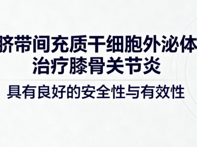 臍帶間充質(zhì)干細胞外泌體治療膝骨關(guān)節(jié)炎具有良好的安全性與有效性