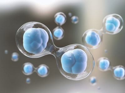 外泌體與干細胞：看似同源，實則大不同的 “修復能手”