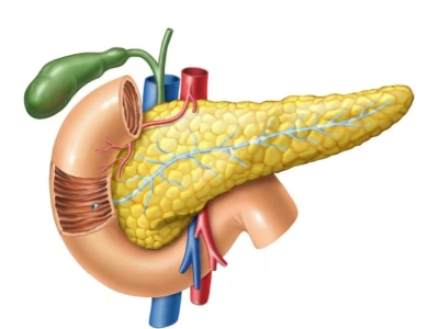干細胞為什么可以治療2型糖尿病？