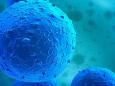 NK細胞與T細胞：細胞核里的“免疫密碼”差異