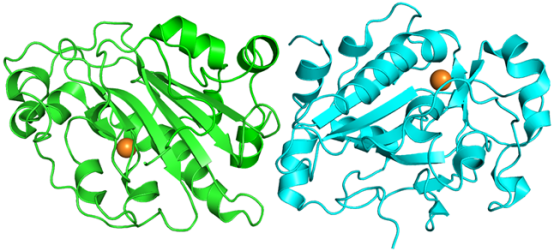 MULTITM Nuclease全能核酸酶