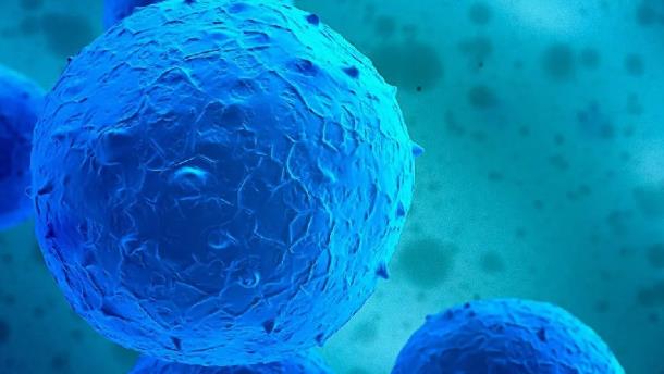 廣州達(dá)博生物制品有限公司