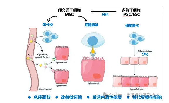 糖尿病治療方向